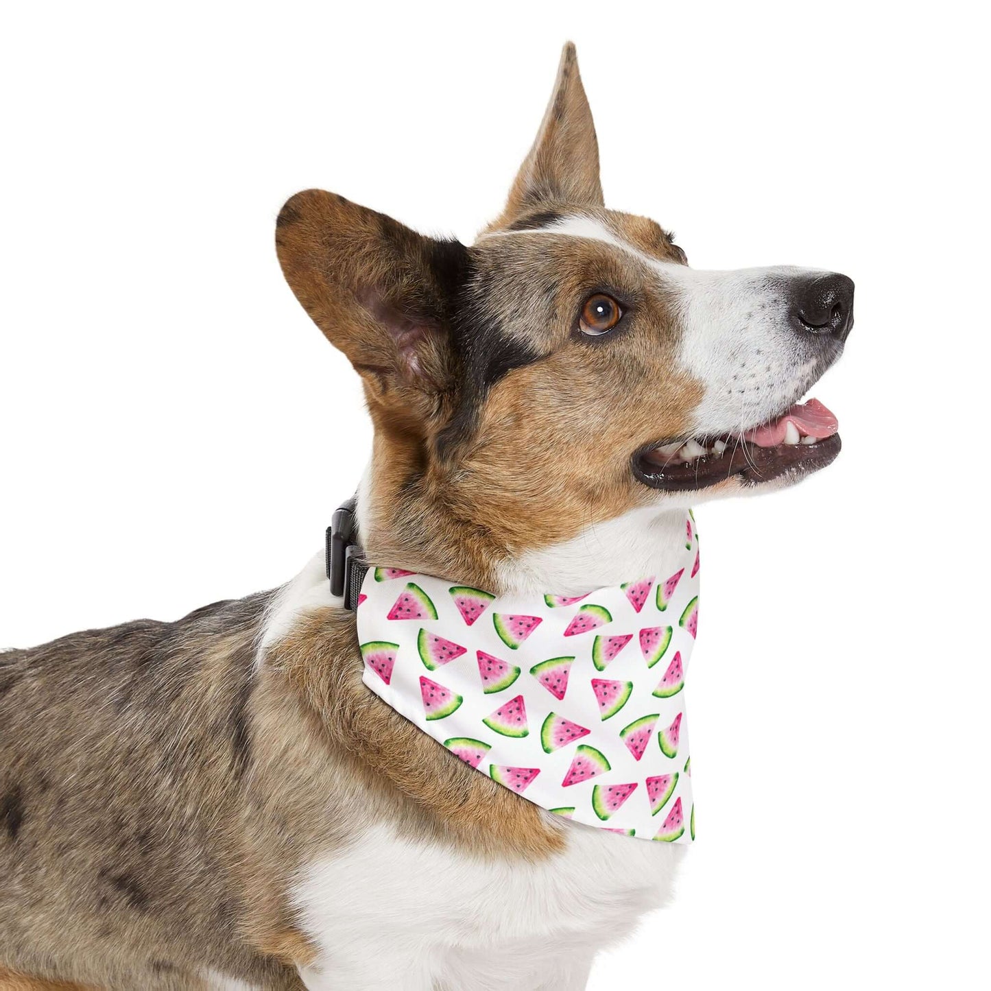 Adjustable Watermelon Bandana Collar ā Lightweight Pet Accessory for Summer Vibes