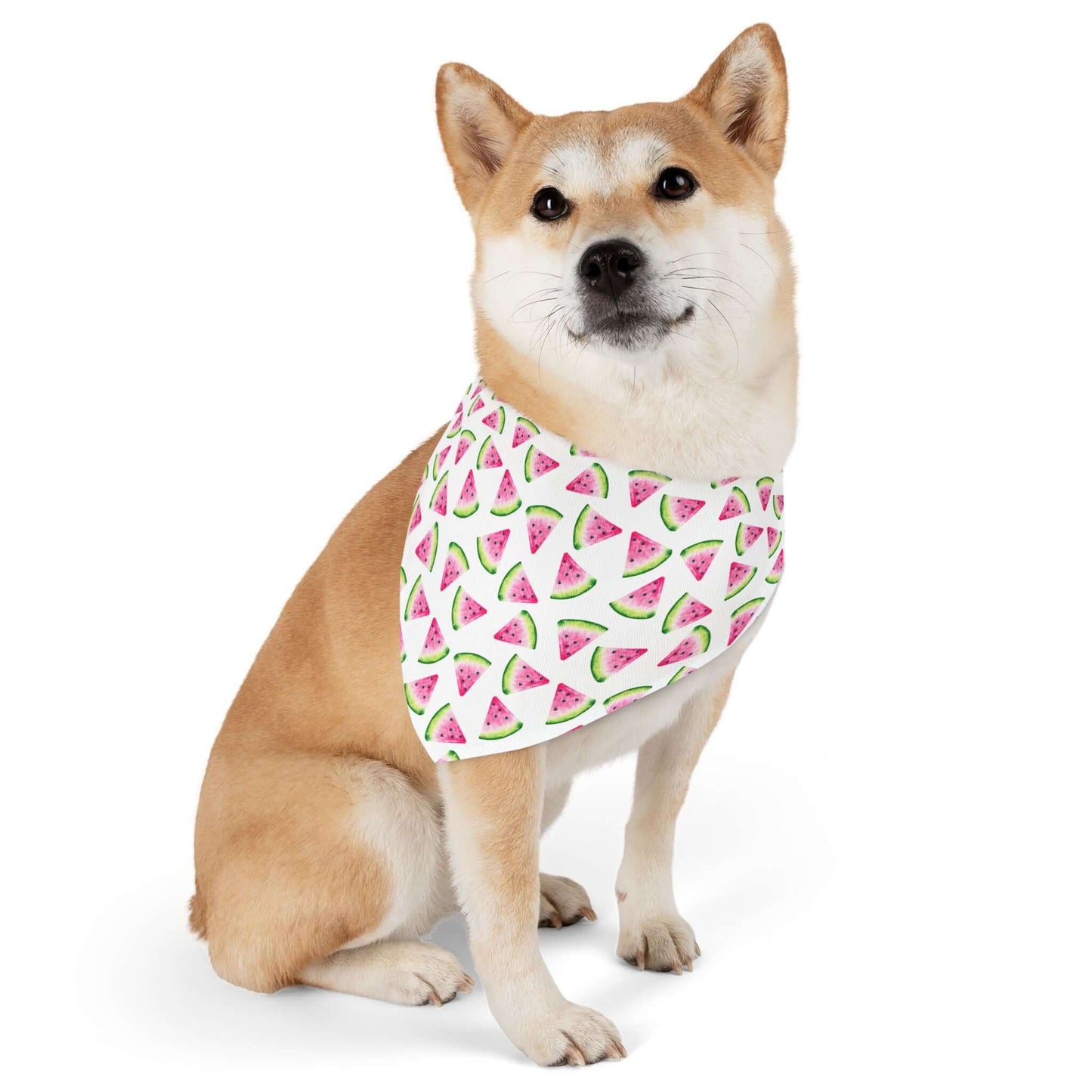 Adjustable Watermelon Bandana Collar ā Lightweight Pet Accessory for Summer Vibes