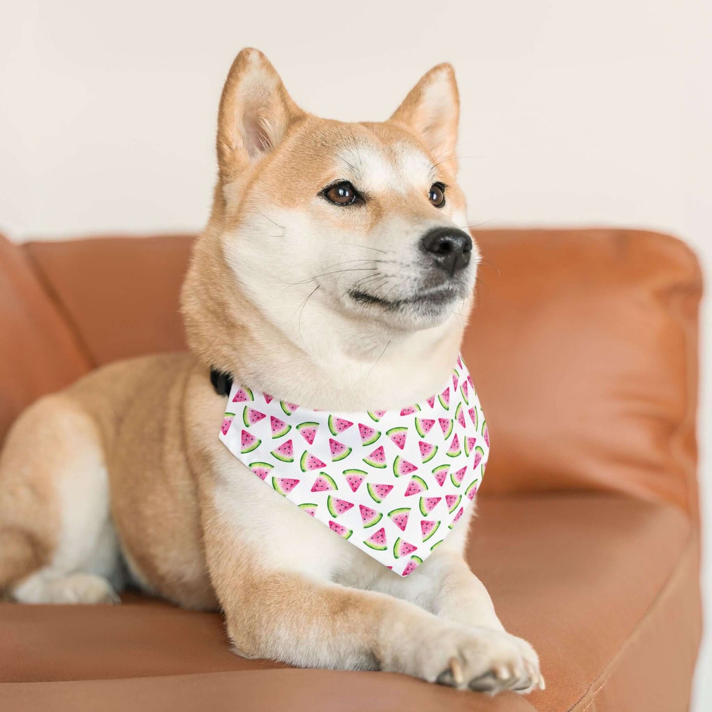 Adjustable Watermelon Bandana Collar ā Lightweight Pet Accessory for Summer Vibes