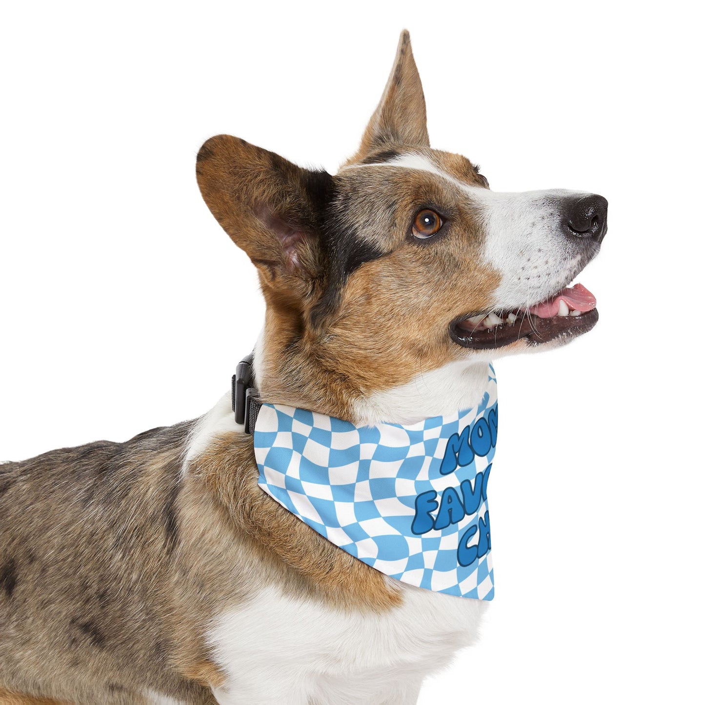 "Mom's Favorite Child" Blue Bandana Collar