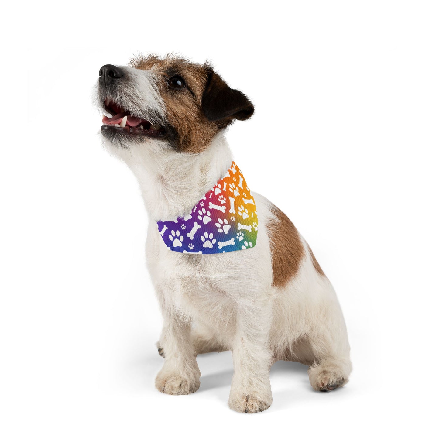 Rainbow Dog Paw and Bones Pet Bandana Collar