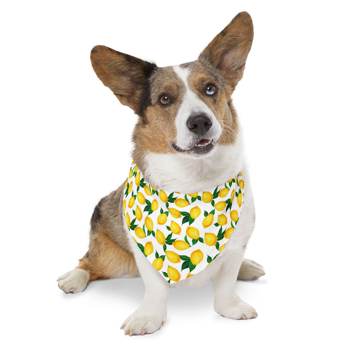 Lemon Print Pet Bandana Collar – Fresh Summer Bandana for Stylish Pets