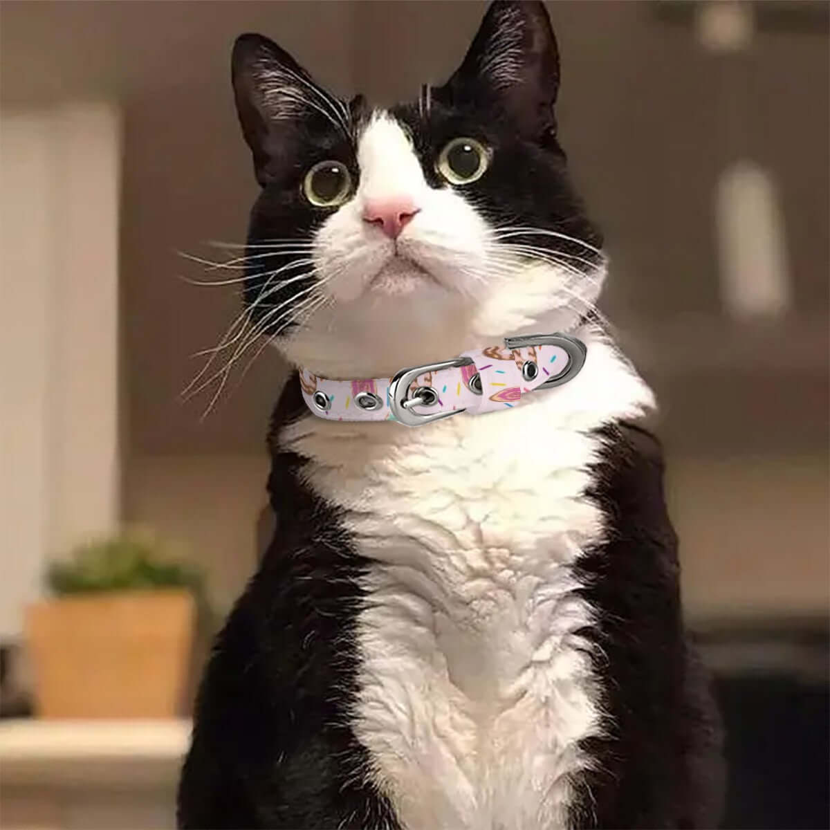 Stylish black and white cat wearing a pink donut sprinkle collar, perfect for small to medium pets.