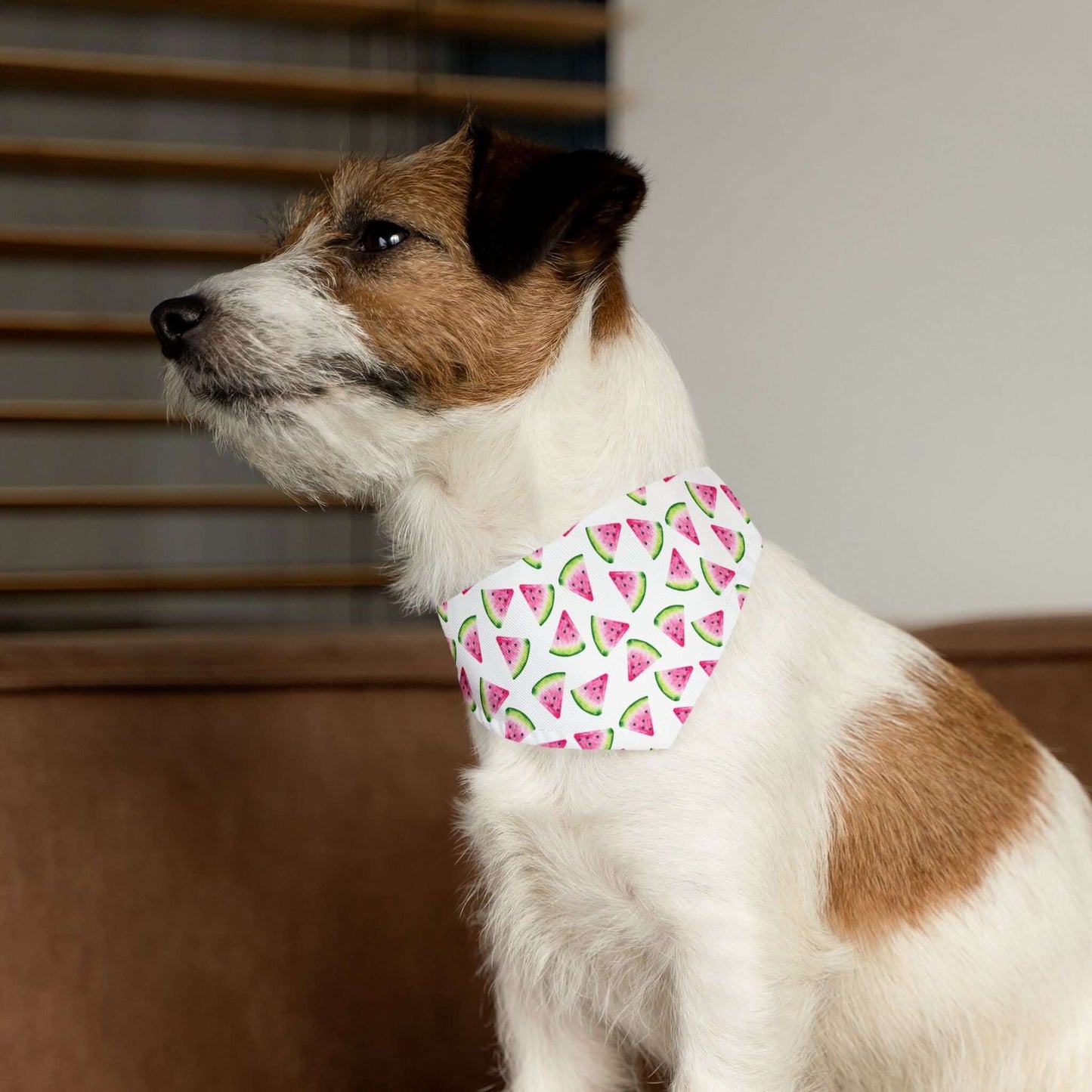 Adjustable Watermelon Bandana Collar ā Lightweight Pet Accessory for Summer Vibes