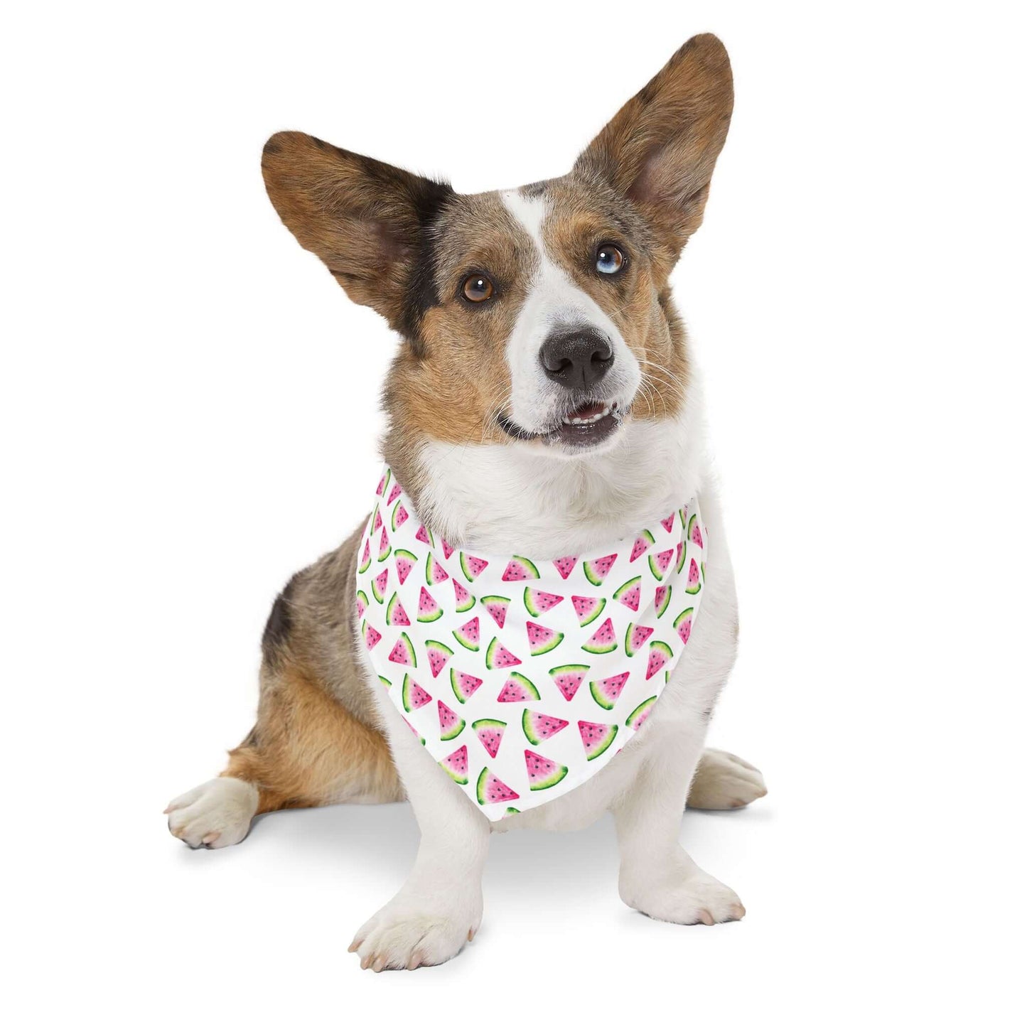 Adjustable Watermelon Bandana Collar ā Lightweight Pet Accessory for Summer Vibes
