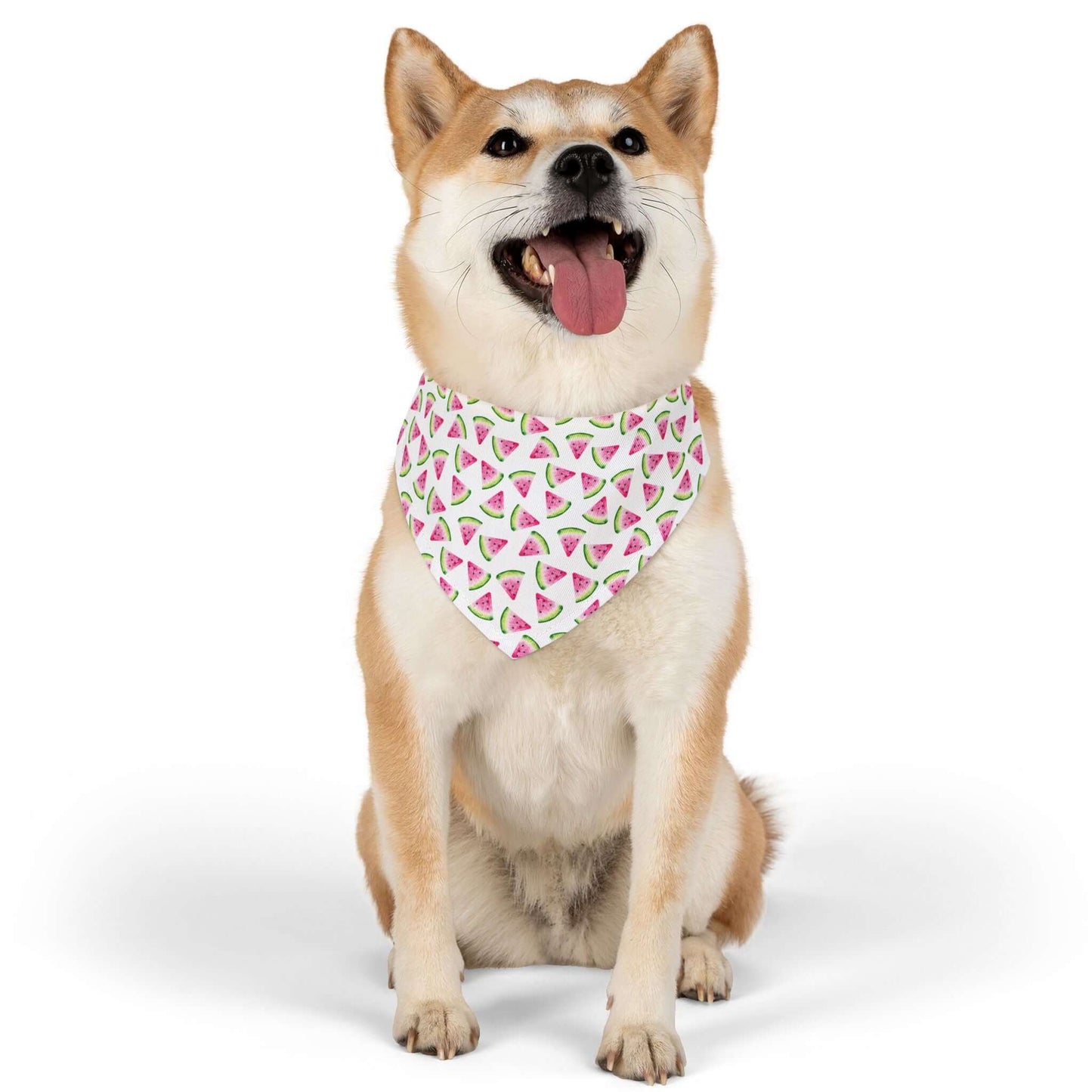 Adjustable Watermelon Bandana Collar ā Lightweight Pet Accessory for Summer Vibes