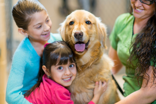 Mom and two little girls with (adopting) a golden retriever in an animal shelter