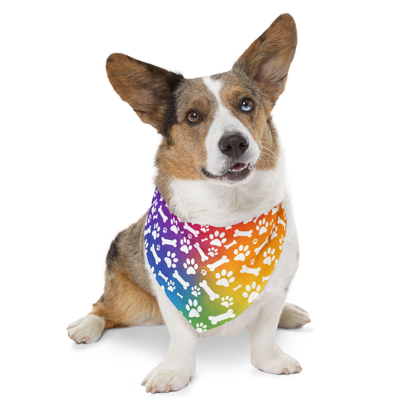 Rainbow Dog Paw and Bones Pet Bandana Collar