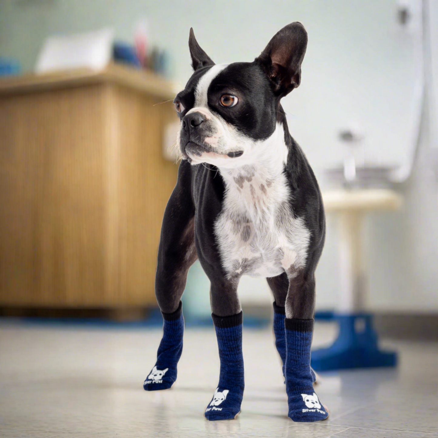 Compression Dog Socks (Blue)