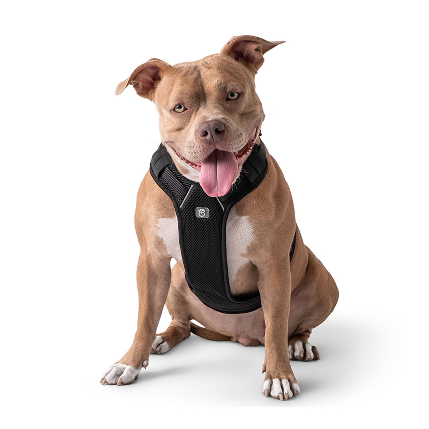 Travel Dog Harness (XXS - XL) - Black