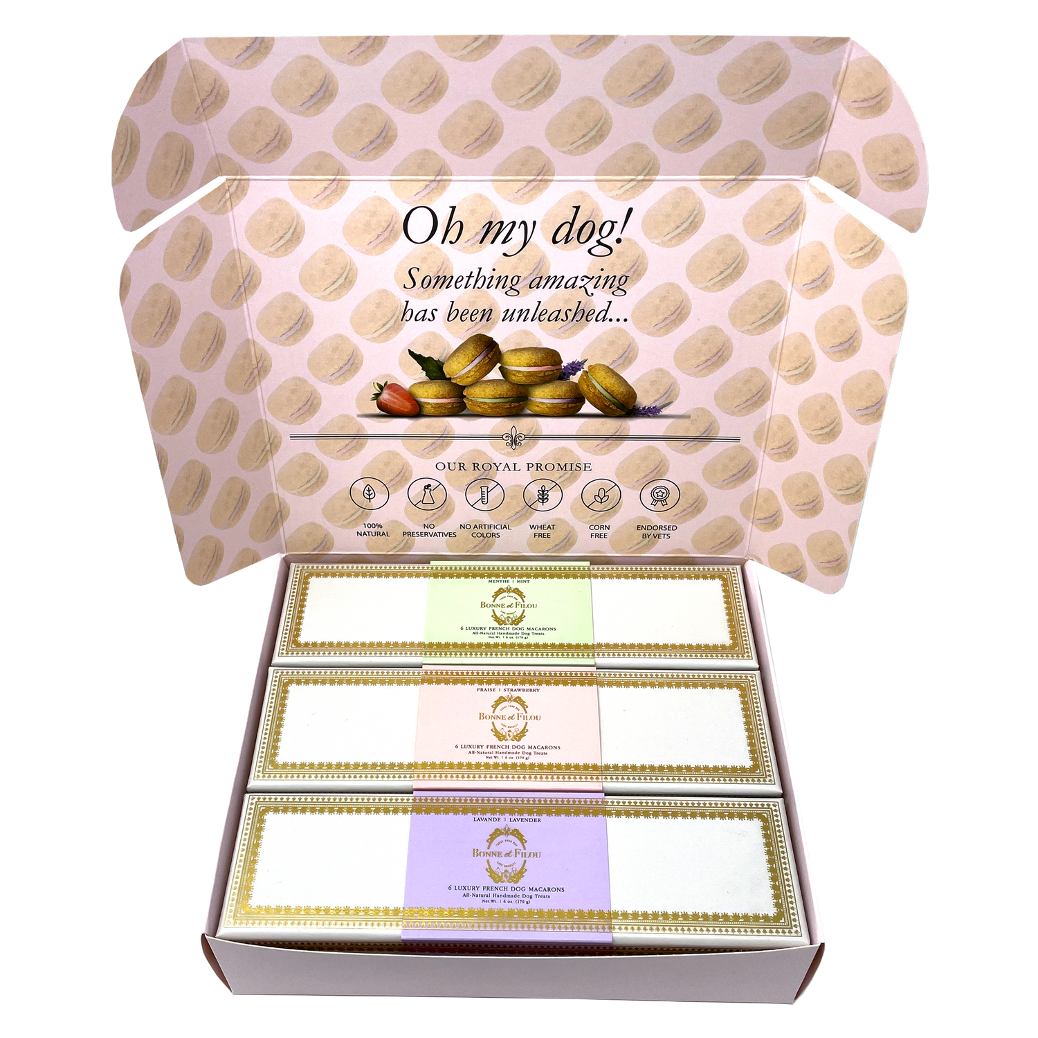 Large box open showing three different flavored macaroon boxes