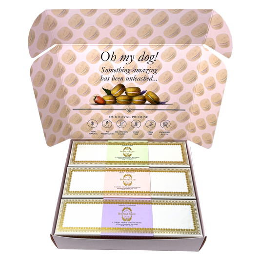 Large box open showing three different flavored macaroon boxes