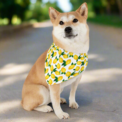 Lemon Print Pet Bandana Collar – Fresh Summer Bandana for Stylish Pets