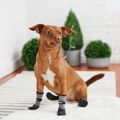 Multi-Terrain Charcoal Dog Boots