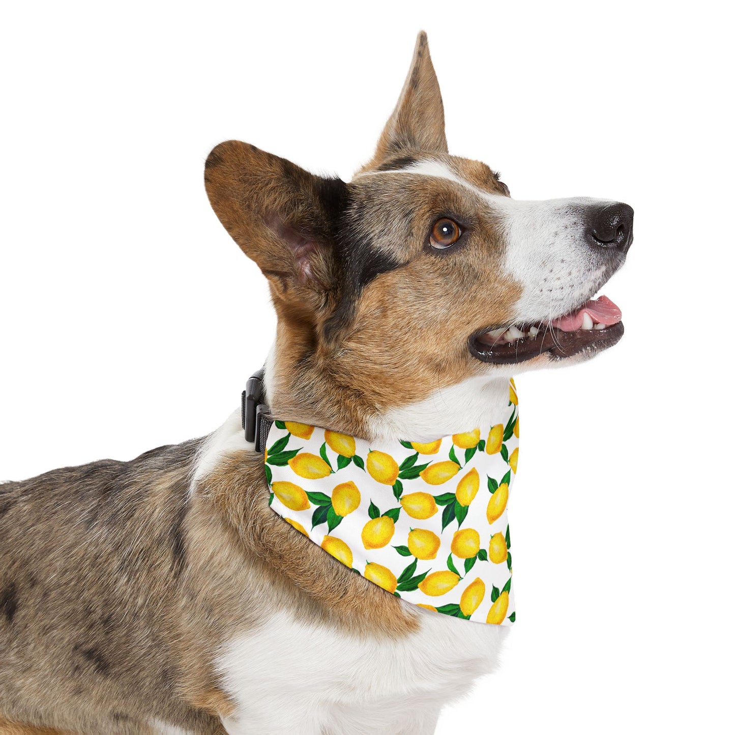 Lemon Print Pet Bandana Collar – Fresh Summer Bandana for Stylish Pets