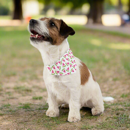 Adjustable Watermelon Bandana Collar – Lightweight Pet Accessory for Summer Vibes