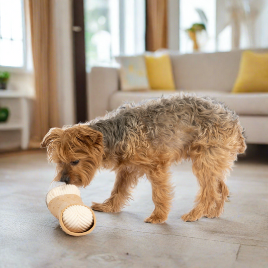 Yorkshire Terrier Dog sniffing a cannoli shaped dog toy