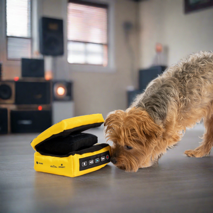 Yorkshire Terrier Dog sniffing Cassette Player Dog Toy