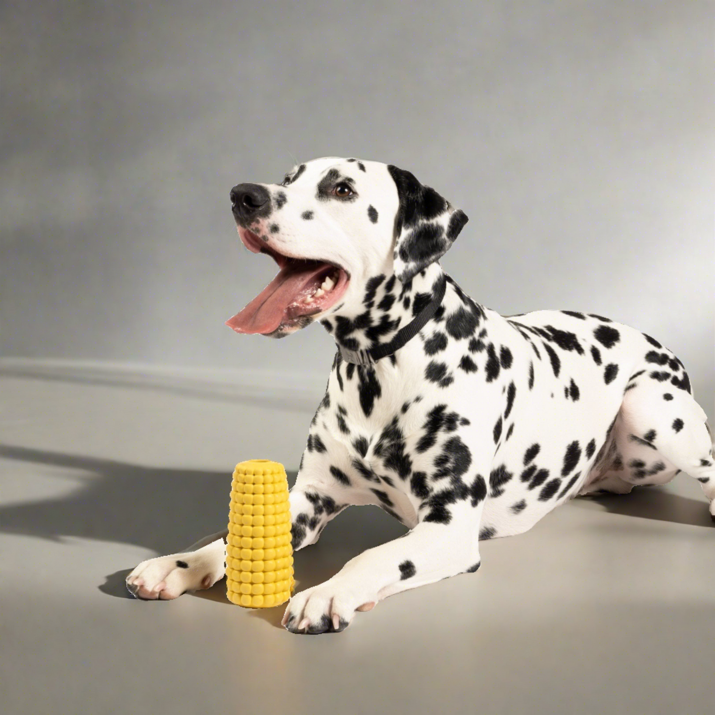 Dalmatian laying down with rubber corn dog toy in front of it 