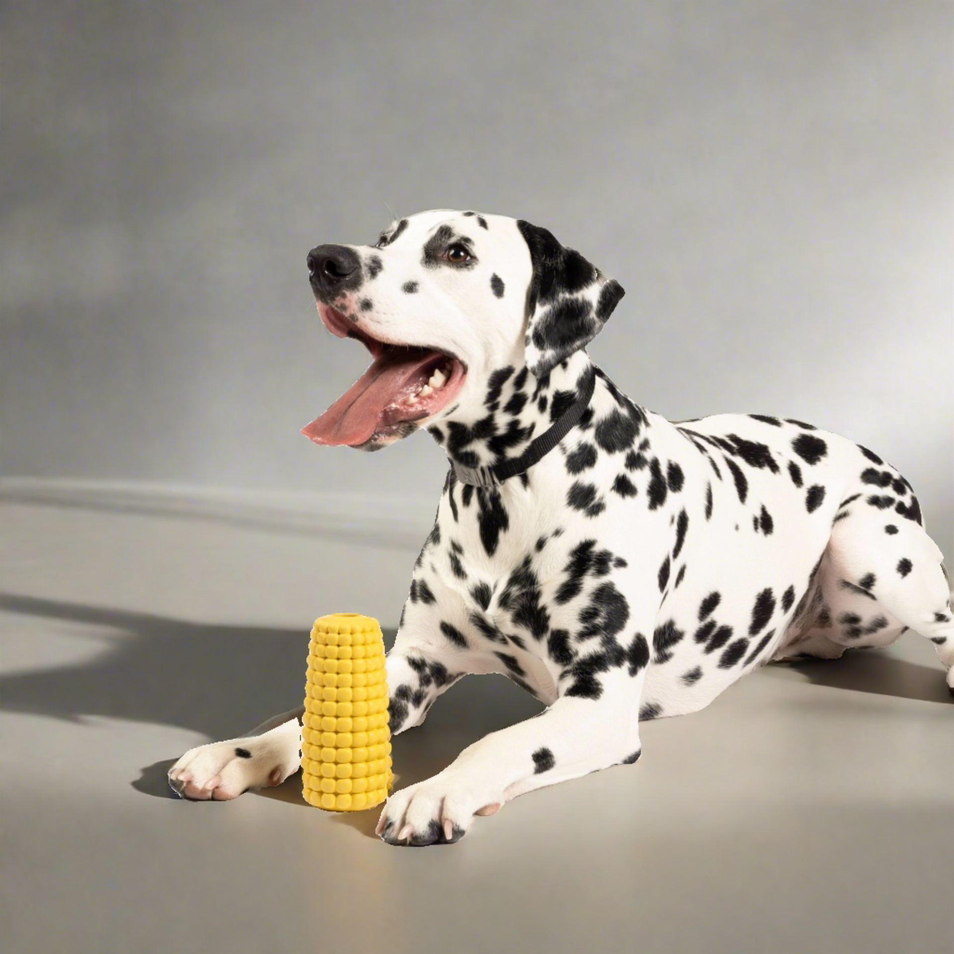 Dalmatian laying down with rubber corn dog toy in front of it 