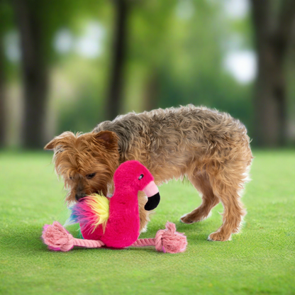 Yorkshire Terrier Dog sniffing feathers of plush flamingo dog toy