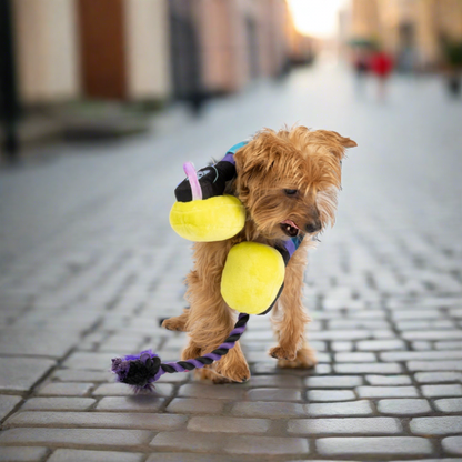 Yorkshire Terrier Dog with headphone dog toy around its neck