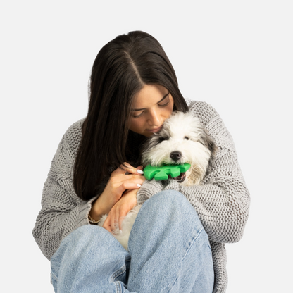 a woman with long dark brown- hair snuggling with white and grey poodle type dog in her lap while the dog chews on a Leaf Rubber Dog Toy