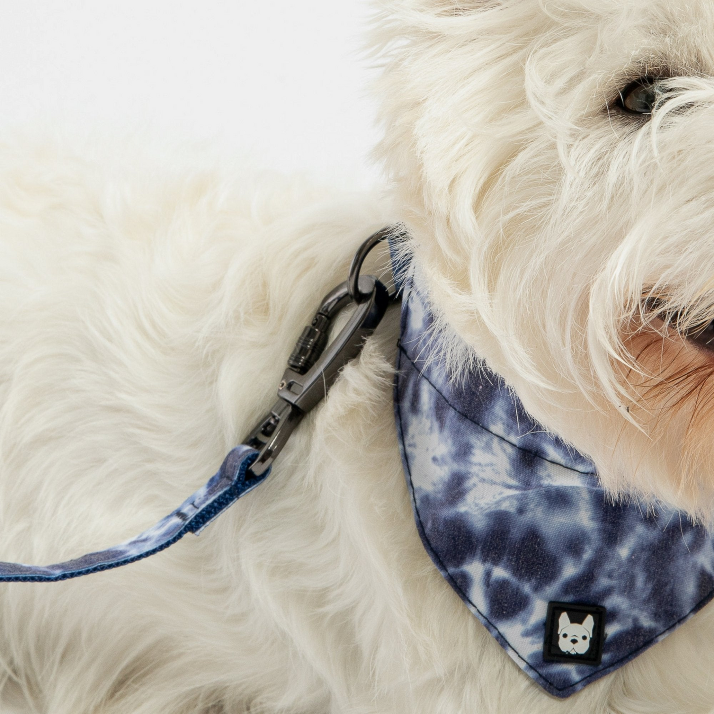 Blue Tie Dye Poplin Dog Leash