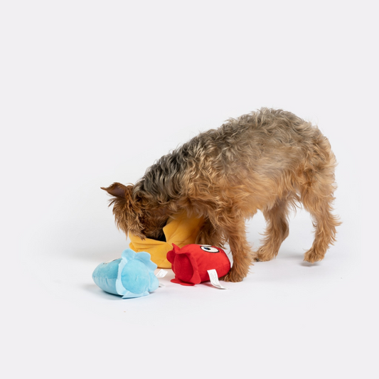 Yorkshire Terrier Dog playing with Snackman Dog Toy (3-Piece Set)