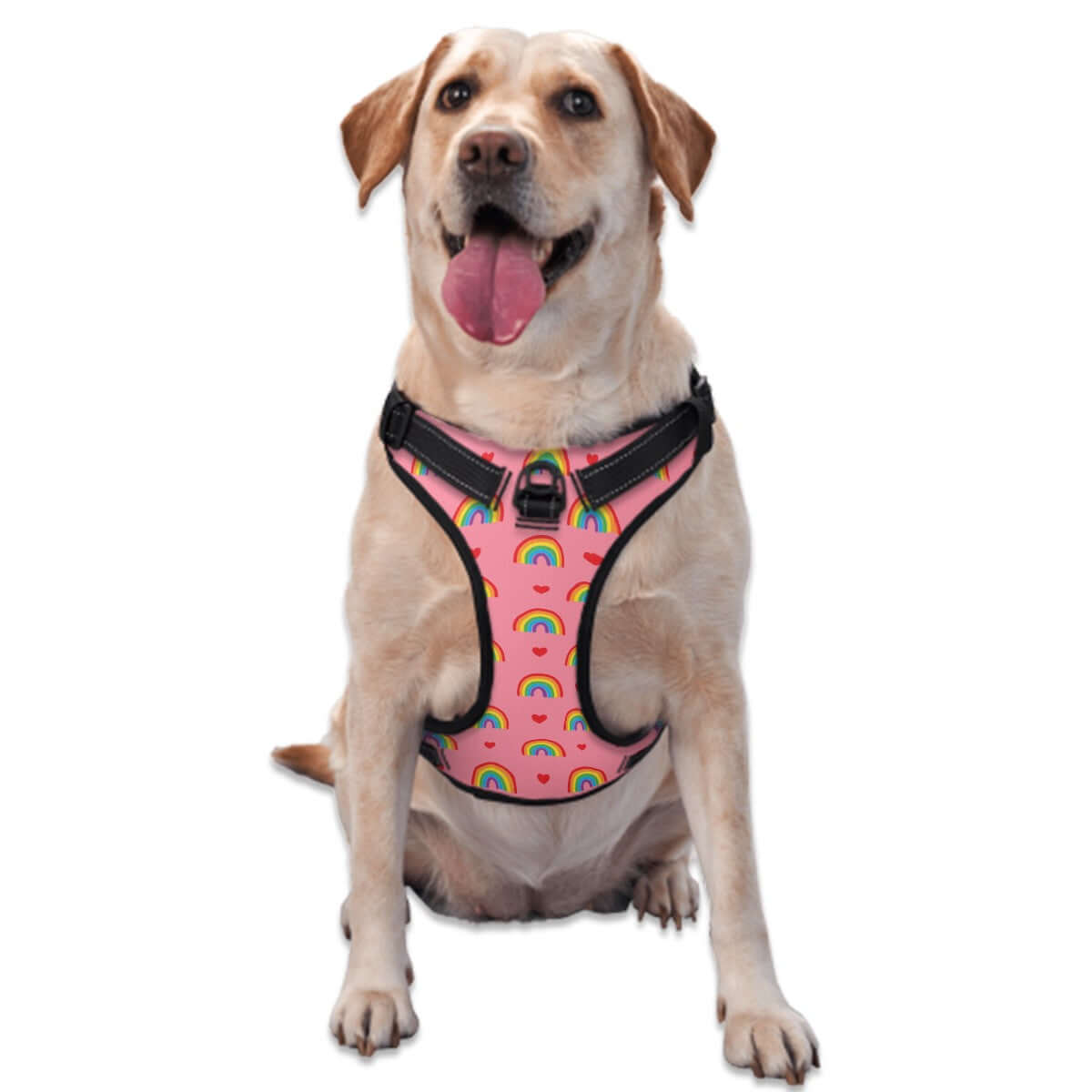 Happy dog wearing a striped rainbow adjustable harness in sizes S-XL, perfect pride merch for pets.