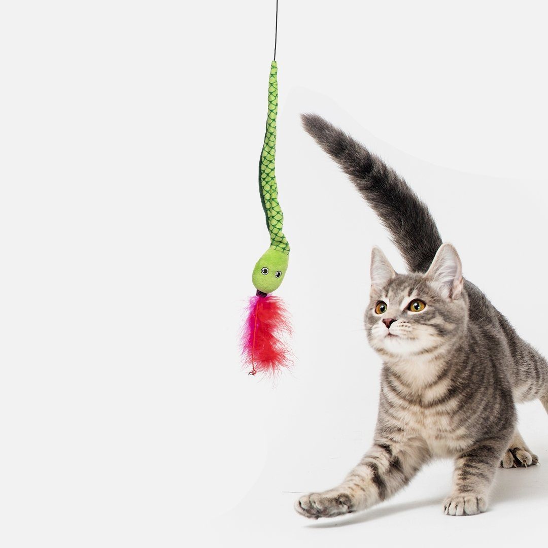 Rainforest Cat Toy Bundle (3-Pack)