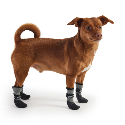 Multi-Terrain Charcoal Dog Boots