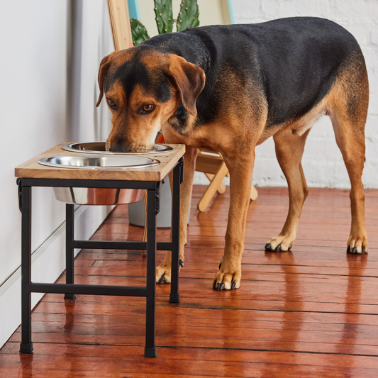 Elevated Pet Feeder (Wood & Metal) (S-L-Tall)