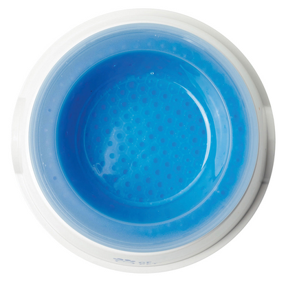 Pet Cooling Water Bowl - Ice Bowl