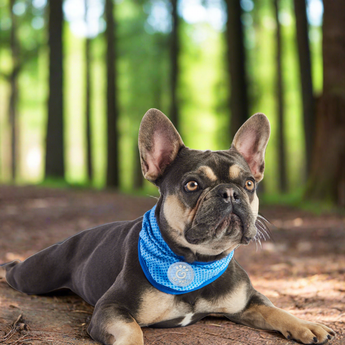 Dog Cooling Bandana - Blue (ICE BAND)