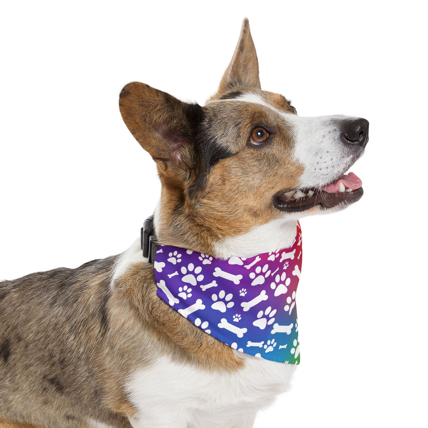 Rainbow Dog Paw and Bones Pet Bandana Collar