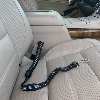 Elastic Safety Car Leash (5 Colors Available)