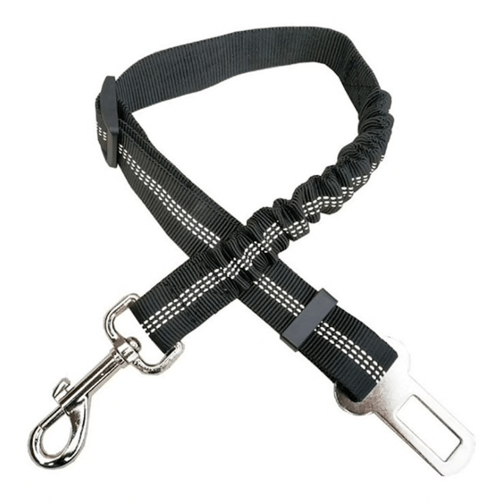 Elastic Safety Car Leash (5 Colors Available)