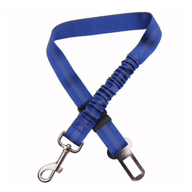 Elastic Safety Car Leash (5 Colors Available)