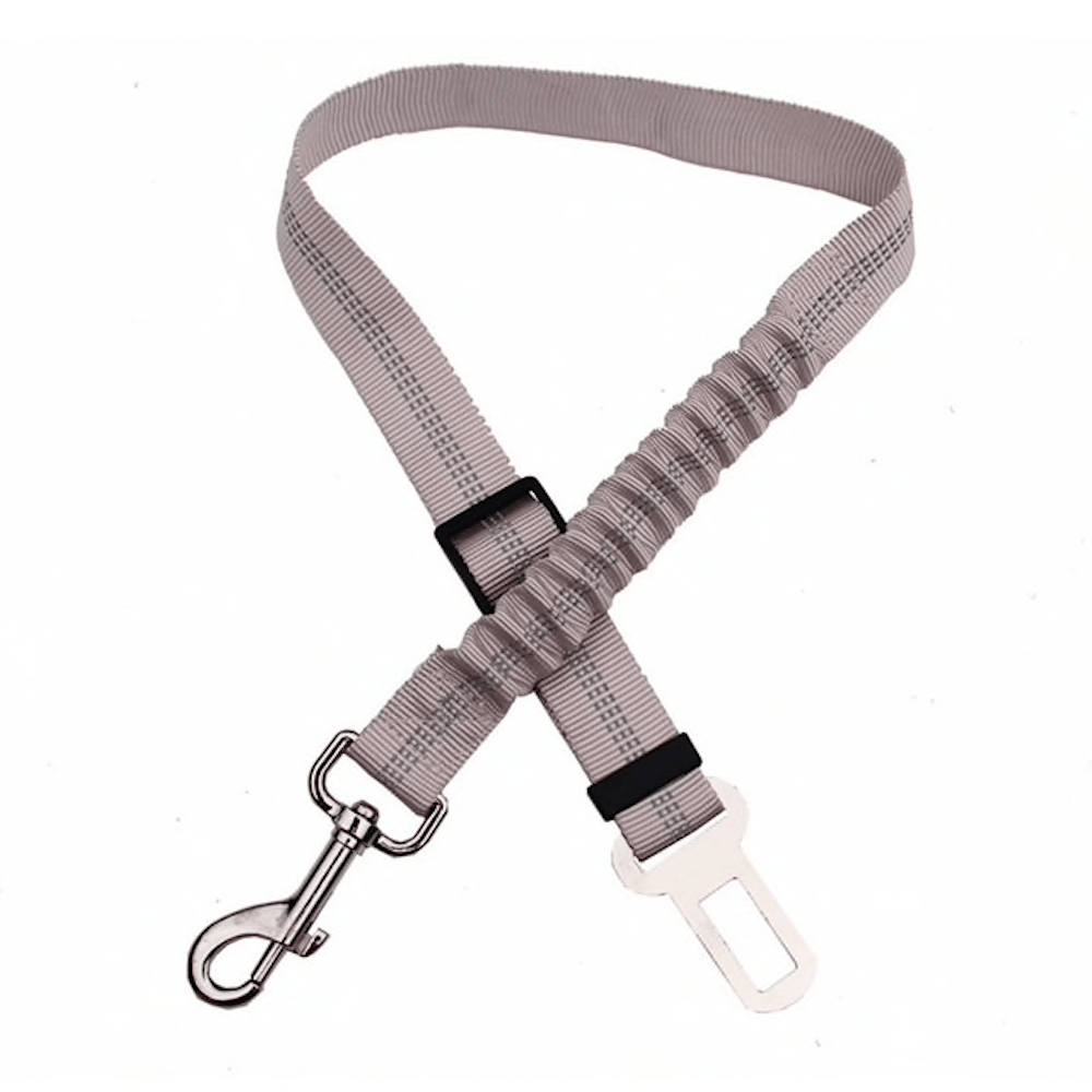 Elastic Safety Car Leash (5 Colors Available)