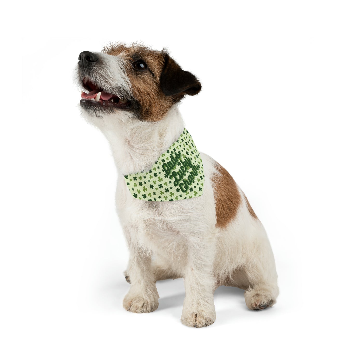 "Dad's Lucky Charm" St. Patrick's Day Pet Bandana Collar
