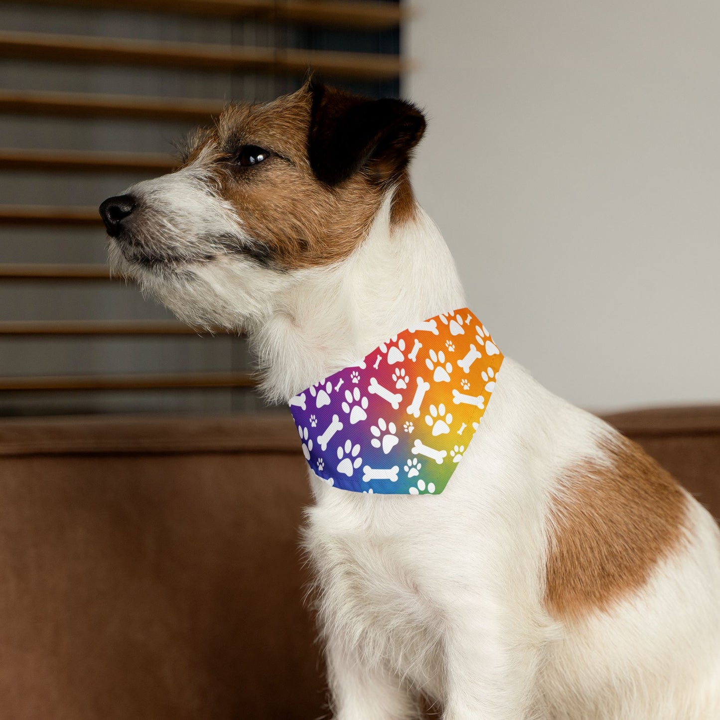Rainbow Dog Paw and Bones Pet Bandana Collar