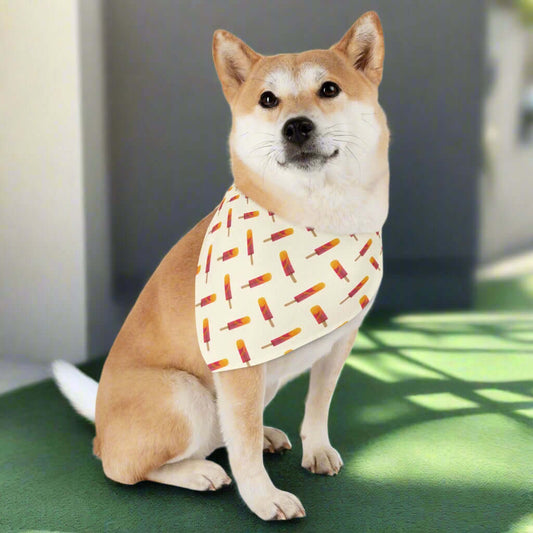 Bright Popsicle Print Pet Bandana Collar – Perfect for Warm Weather Walks