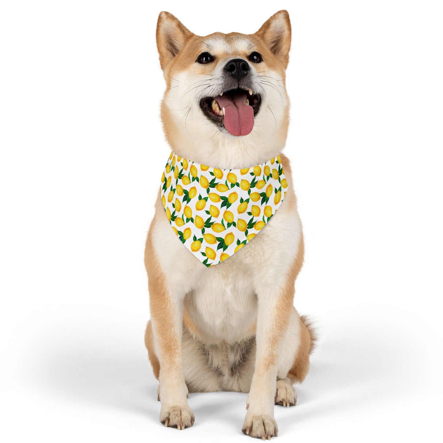 Lemon Print Pet Bandana Collar – Fresh Summer Bandana for Stylish Pets