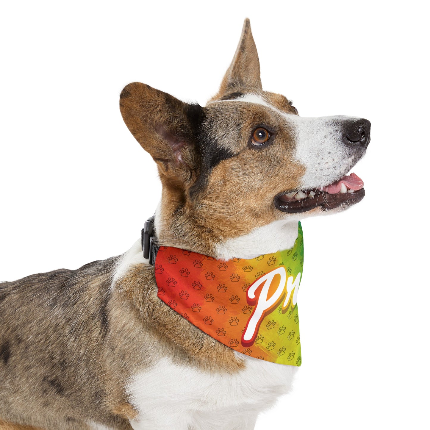 Rainbow PRIDE Pet Bandana Collar (S - XL)