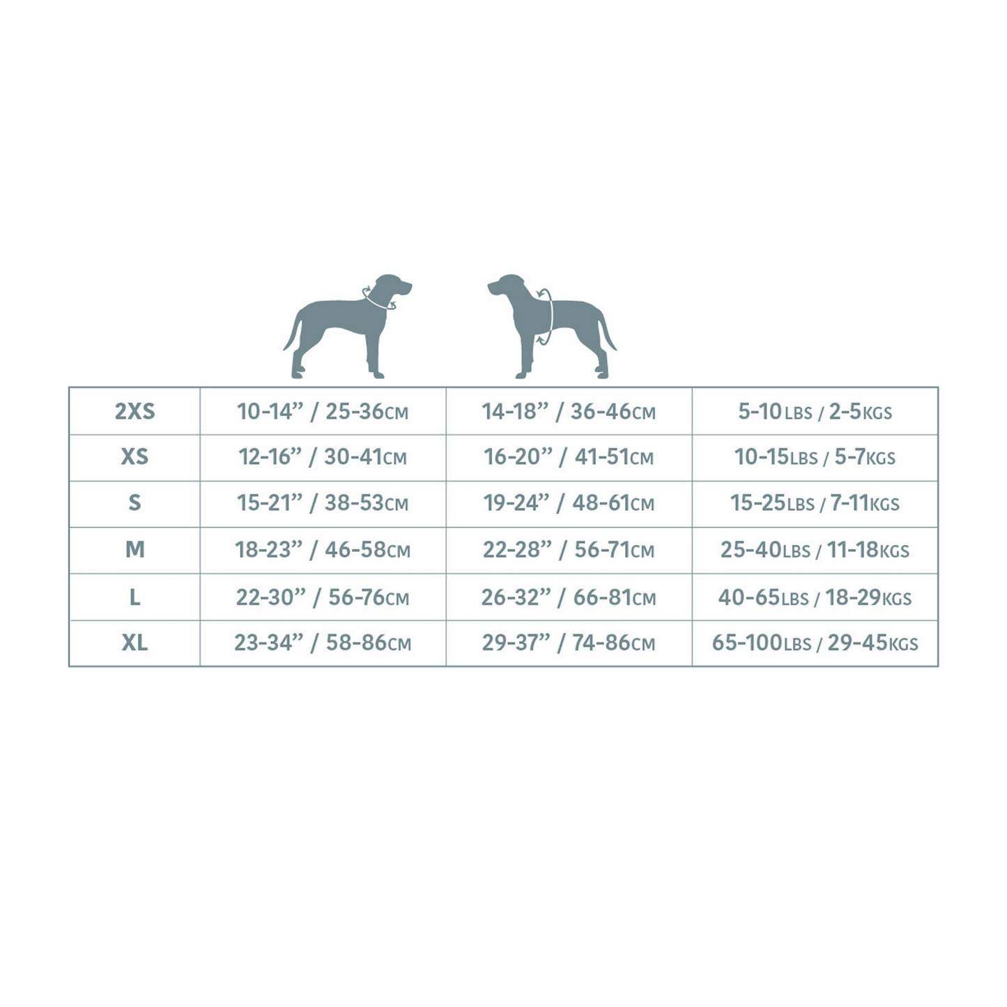 size chart showing XXS-XL