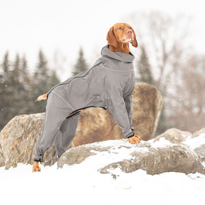 Charcoal Splash Suit, Charcoal Rain Dog Coat