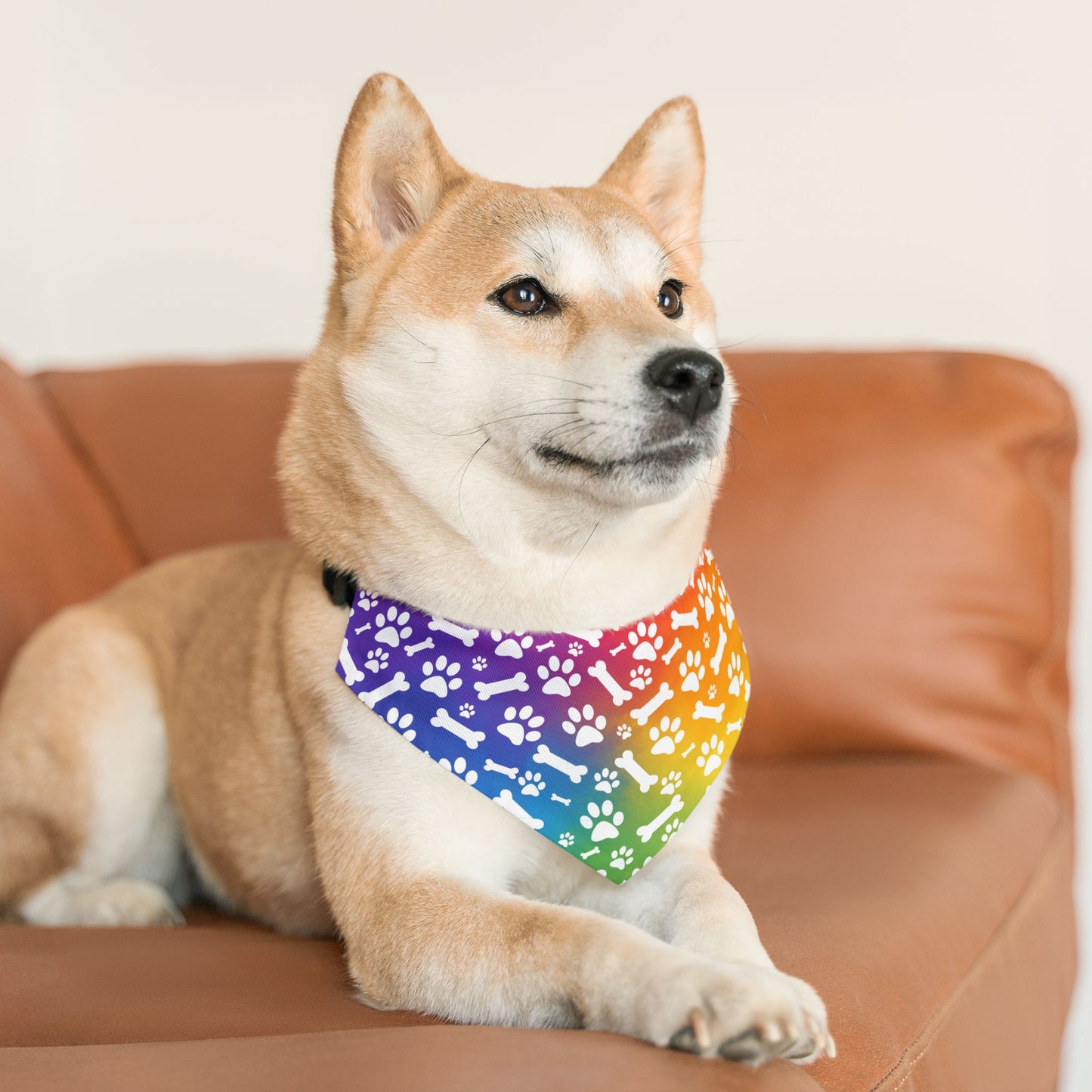 Rainbow Dog Paw and Bones Pet Bandana Collar