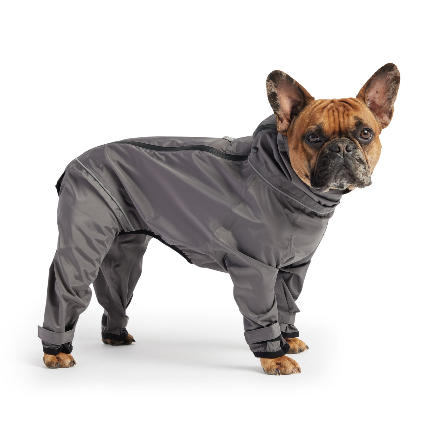 Charcoal Splash Suit, Charcoal Rain Dog Coat