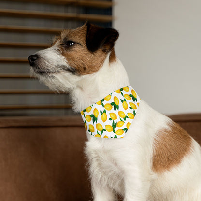 Lemon Print Pet Bandana Collar – Fresh Summer Bandana for Stylish Pets